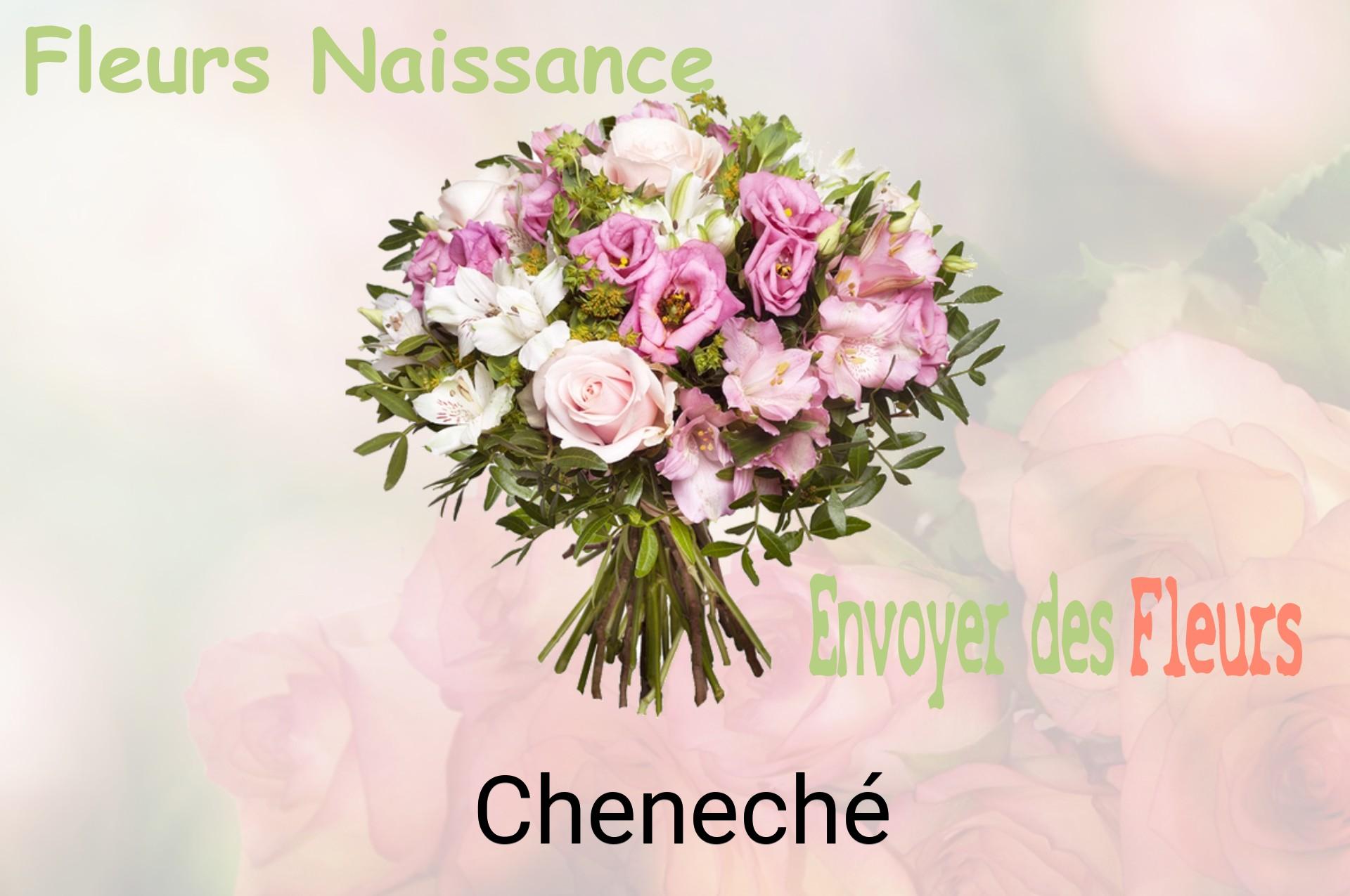 Bouquet de fleurs de naissance livré à Cheneché